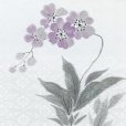 画像4: お太鼓 軽装帯 手描き風絵柄 お太鼓結びの付け帯 東レ シルック生地使用 合繊【白系、蘭】 (4)