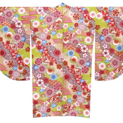 画像4: 袴セット 卒業式 短尺 古典柄の小振袖(二尺袖の着物)と刺繍袴セット【抹茶、古典柄】