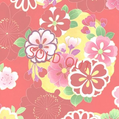 画像3: 卒業式 袴セット 女子用 大学生 長丈の二尺袖着物 小振袖 刺繍袴(M／Lサイズ) 2点セット 合繊【赤、雪輪と桜】