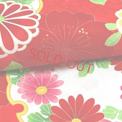 画像4: 卒業式 袴セット 女子用 大学生 長丈の二尺袖着物 小振袖 刺繍袴(M／Lサイズ) 2点セット 合繊【赤、雪輪と桜】