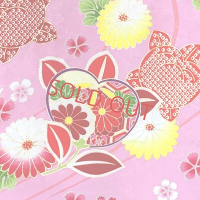画像3: 卒業式 袴セット 女子用 大学生 長丈の二尺袖着物 小振袖 刺繍袴(M／Lサイズ) 2点セット 合繊【ピンク、橘】