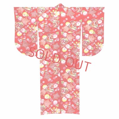 画像2: 卒業式 袴セット 女子用 大学生 長丈の二尺袖着物 小振袖 刺繍袴(M／Lサイズ) 2点セット 合繊【赤、橘】