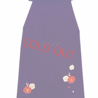 画像5: 卒業式 袴セット 女子用 大学生 長丈の二尺袖着物 小振袖 刺繍袴(M／Lサイズ) 2点セット 合繊【赤、橘】