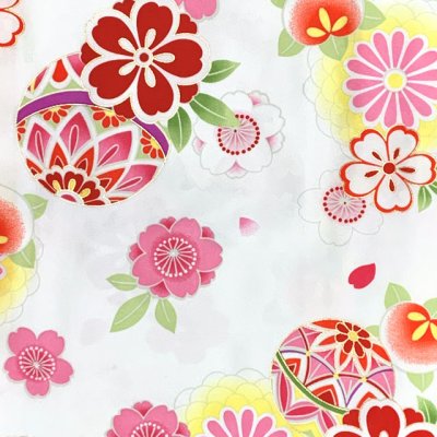 画像2: 卒業式 袴セット 女子用 大学生 長丈の二尺袖着物 小振袖 R・ｋブランドの刺繍袴＆袴下帯の3点セット【白、矢羽と鞠】