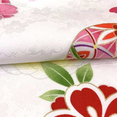 画像5: 卒業式 袴セット 女子用 大学生 長丈の二尺袖着物 小振袖 R・ｋブランドの刺繍袴＆袴下帯の3点セット【白、矢羽と鞠】