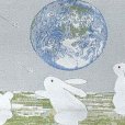 画像3: 半幅帯 細帯 “おりびと(織美桐)”ブランドの半幅帯(細帯)【銀灰系、地球とウサギたち】 (3)