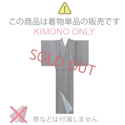 画像5: 洗える着物 単衣 H・L(アッシュ・エル) 2024年新作 小紋 フリーサイズ ※きもの単品【グレーミント、流水に千鳥】