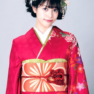 画像2: 振袖 セット 成人式 正月 H・Lブランド 絵羽柄の振袖 袋帯 小物 6点セット【マゼンタ系ｘ黒、菊に鞠】