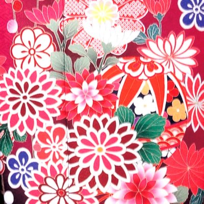 画像3: 振袖 セット 成人式 正月 H・Lブランド 絵羽柄の振袖 袋帯 小物 6点セット【マゼンタ系ｘ黒、菊に鞠】