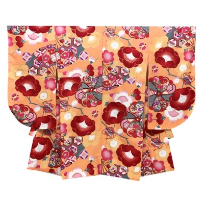 画像2: 袴セット 卒業式 女性用 二尺袖の着物(小振袖 ショート丈)とR・ｋブランドの刺繍袴＆袴下帯の3点セット【シャーベットオレンジ、古典柄】