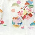 画像6: ≪１点限り！ オリジナル・コーディネートセット≫七五三 着物 3歳 被布セット 女の子 正絹 手描き友禅 被布コート・着物 フルセット【紅白、松竹梅】