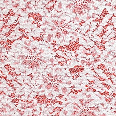 画像2: 子供用 帯揚げ レース  帯上げ モダン かわいい 七五三の着物に【朱赤】