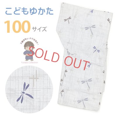 画像1: 子供浴衣 男の子 変わり織 キッズ浴衣 100サイズ【グレージュ、とんぼ】