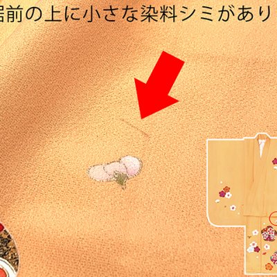 画像9: 【ちょっと訳あり品】七五三 着物 3歳 正絹 フルセット 女の子 友禅 絵羽柄の着物 被布セット【赤ｘ黄色、梅】