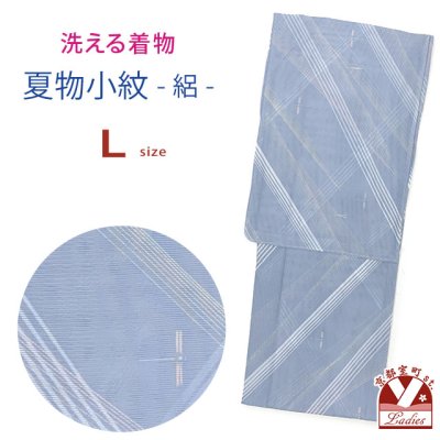 画像1: 洗える着物 絽 駒絽 小紋 夏物 夏きもの レディース Lサイズ【水色系、秋空のトンボ】