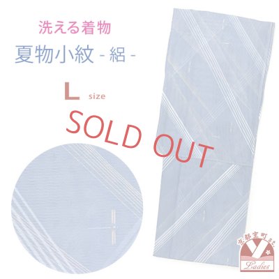 画像1: 洗える着物 絽 駒絽 小紋 夏物 夏きもの レディース Lサイズ【水色系、秋空のトンボ】