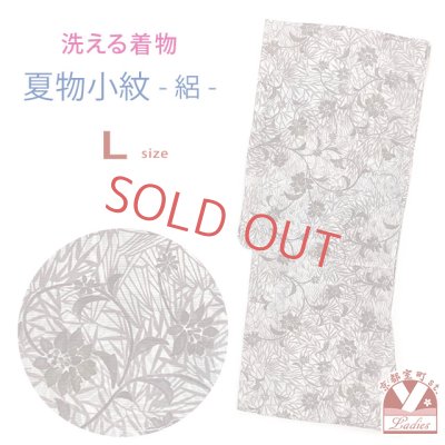 画像1: 洗える着物 絽 駒絽 小紋 夏物 夏きもの レディース Lサイズ【生成りｘ薄茶、ボタニカル柄】