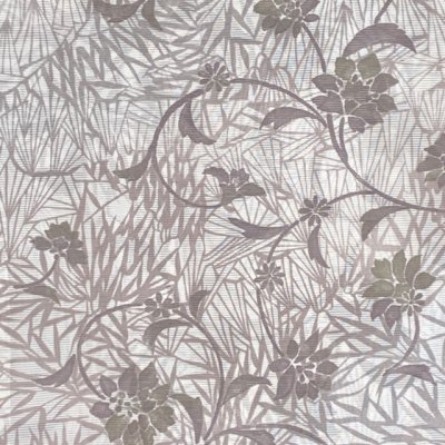 画像2: 洗える着物 絽 駒絽 小紋 夏物 夏きもの レディース Lサイズ【生成りｘ薄茶、ボタニカル柄】