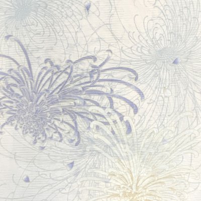 画像2: 洗える着物 絽 駒絽 小紋 夏物 着物 夏きもの レディース Mサイズ【生成り、乱菊】