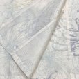 画像4: 夏の二部式着物 洗える着物 絽 小紋柄の着物 Lサイズ【生成り系、糸菊】 (4)