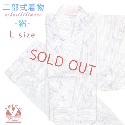 画像1: 夏の二部式着物 洗える着物 絽 小紋柄の着物 Lサイズ【薄紫系ストライプ、桔梗】