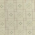 画像2: 夏の二部式着物 洗える着物 絽 小紋柄の着物 Mサイズ【ベージュ、絣系】 (2)