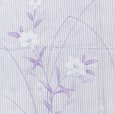 画像2: 夏の二部式着物 洗える着物 絽 小紋柄の着物 Mサイズ【薄紫系ストライプ、桔梗】 (2)