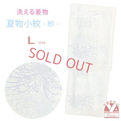 画像1: 洗える着物 小紋 紗 夏着物 単品 レディース 仕立て上がり 着物 Lサイズ【生成り、糸菊】