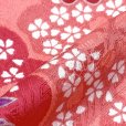 画像4: 子供着物(合繊)＆刺繍袴セット 卒園式 入学式 七五三 に【ピンク、桜】 (4)