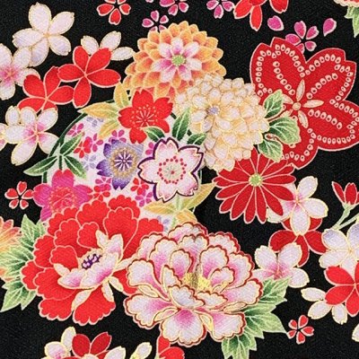 画像5: 女の子 袴セット 卒園式 入学式 小紋柄(総柄)四つ身の着物(合繊)＆刺繍袴セット【黒地、菊と牡丹】