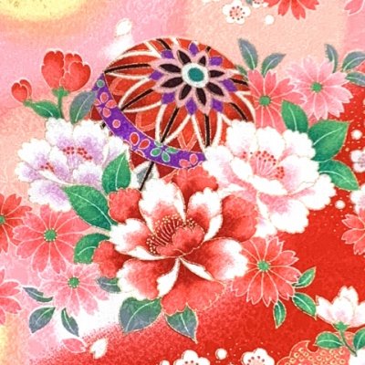 画像5: 七五三 着物 7歳 女の子 合繊 絵羽柄の子供振袖 四つ身の着物 ※襦袢付き 【白地、鞠と八重桜】