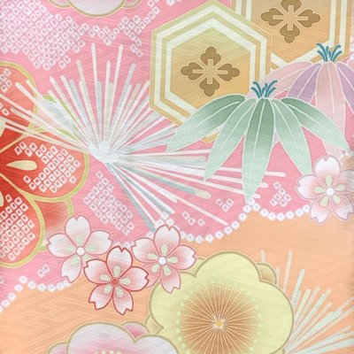 画像3: 七五三 着物 7歳 女の子 2025年新作 式部浪漫ブランド 絵羽柄の着物 四つ身 子供振袖 単品 合繊【ピーチフィズ、鞠梅】