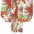 画像4: 卒業式の着物 小紋柄の二尺袖 単品 ショート丈 フリーサイズ【生成り地、乱菊に蘭】