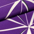 画像3: 卒業式 袴セット 女性用 二尺袖着物 ショート丈 刺繍袴 2点セット(合繊)【紫、麻の葉】