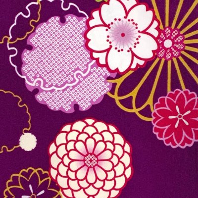 画像3: 卒業式の着物 小紋柄の二尺袖 単品 ショート丈 フリーサイズ【紫、菊と桜・雪輪】
