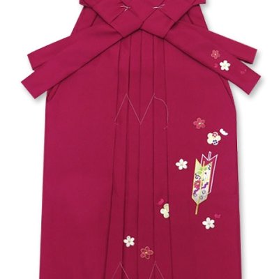 画像5: 女の子 袴セット 卒園式 入学式 四つ身の着物(合繊)と刺繍袴 2点セット【生成り系、小花と小鳥】