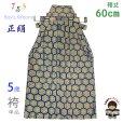 画像1: ≪アウトレット・美品≫七五三 袴 5歳 五歳男児 正絹 金襴袴 男の子 はかま 単品 60cm【青紺、亀甲に木瓜】 (1)