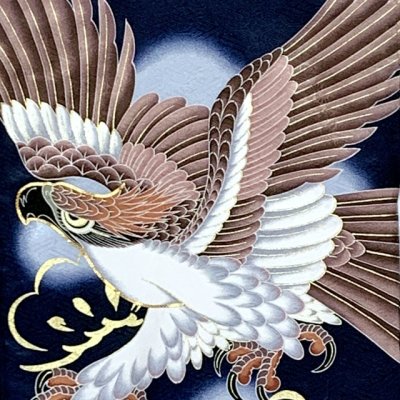 画像3: お宮参り 男の子 着物 正絹  赤ちゃんのお祝い着 (初着 産着） 熨斗目 襦袢付き【紺地、鷹とまとい】