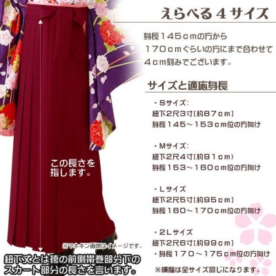 画像2: 卒業式 袴 レディース 刺繍 ぼかし袴 単品 行燈袴  S/M/L/LL【ねじり菊と桜刺繍 選べる3カラー】