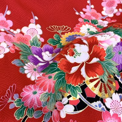 画像5: お宮参り 着物 女の子 赤ちゃんのお祝い着 産着 初着 正絹 襦袢付き【赤、花車】