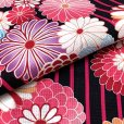 画像4: 女の子浴衣 へこ帯セット 90サイズ こども浴衣 絞り染め兵児帯 セット【黒地ストライプ柄、万寿菊】
