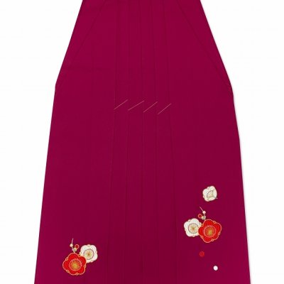 画像5: 卒業式 袴セット 女性用 二尺袖の着物(小振袖 ショート丈)と刺繍袴のセット【黄緑ｘピンク、椿】