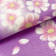 画像4: レディース浴衣 単品 フリーサイズの女性用浴衣【紫、コスモス】 (4)