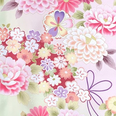 画像4: 七五三 着物 2025年新作 7歳 絵羽柄の四つ身の子供着物(合繊) 単品【ピンクｘひわ、鼓・花爛漫】