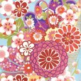 画像5: 七五三 着物 7歳 絵羽柄の古典柄の四つ身の子供着物(合繊) 単品【水色、鞠と梅】