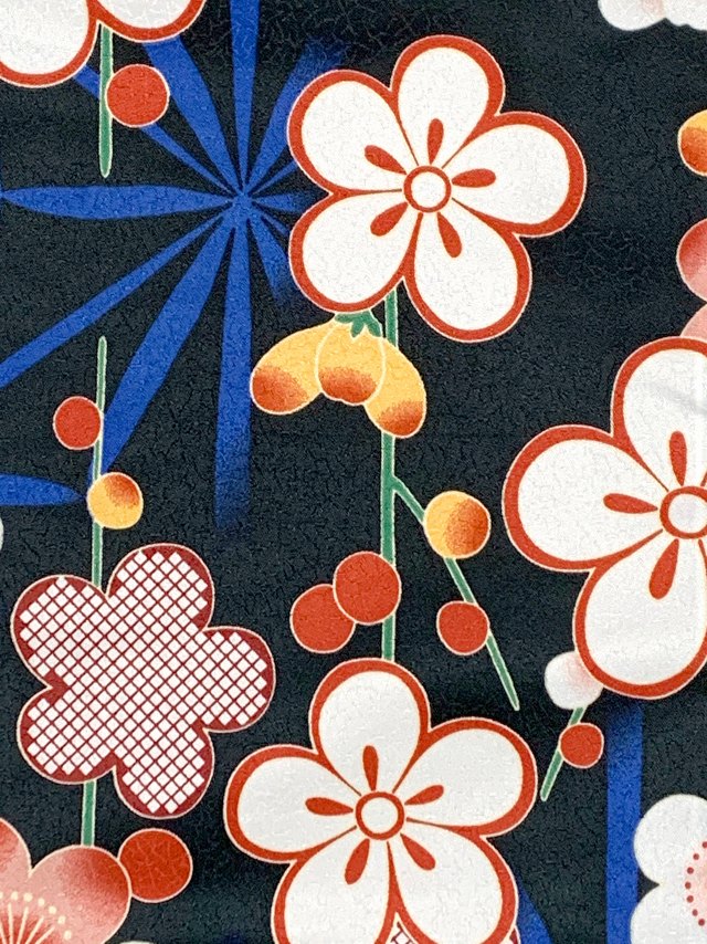洗える着物 袷 小紋 hiromichi nakano(ナカノ ヒロミチ) Mサイズ 単品【黒地、桜と麻の葉】