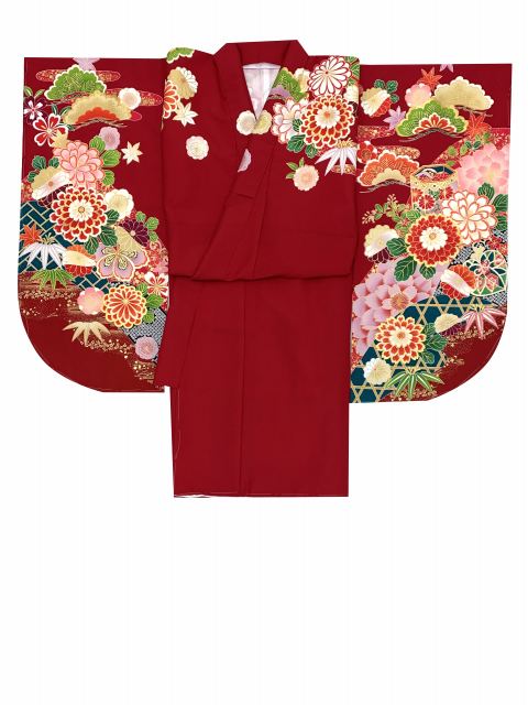 卒業式の着物 【FROM KYOTO】絵羽柄の二尺袖 単品 ショート丈 