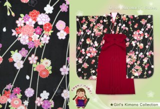 卒園式に 女の子用の着物と袴のセットを６点追加しました。