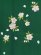 画像2: 卒業式に 女性用 桜刺繍入り袴【緑系】 サイズ[S M L LL] (2)