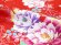画像3: 卒園式 女の子 袴セット 総柄 子供着物&刺繍袴セット(合繊)【赤 蝶と牡丹】 (3)